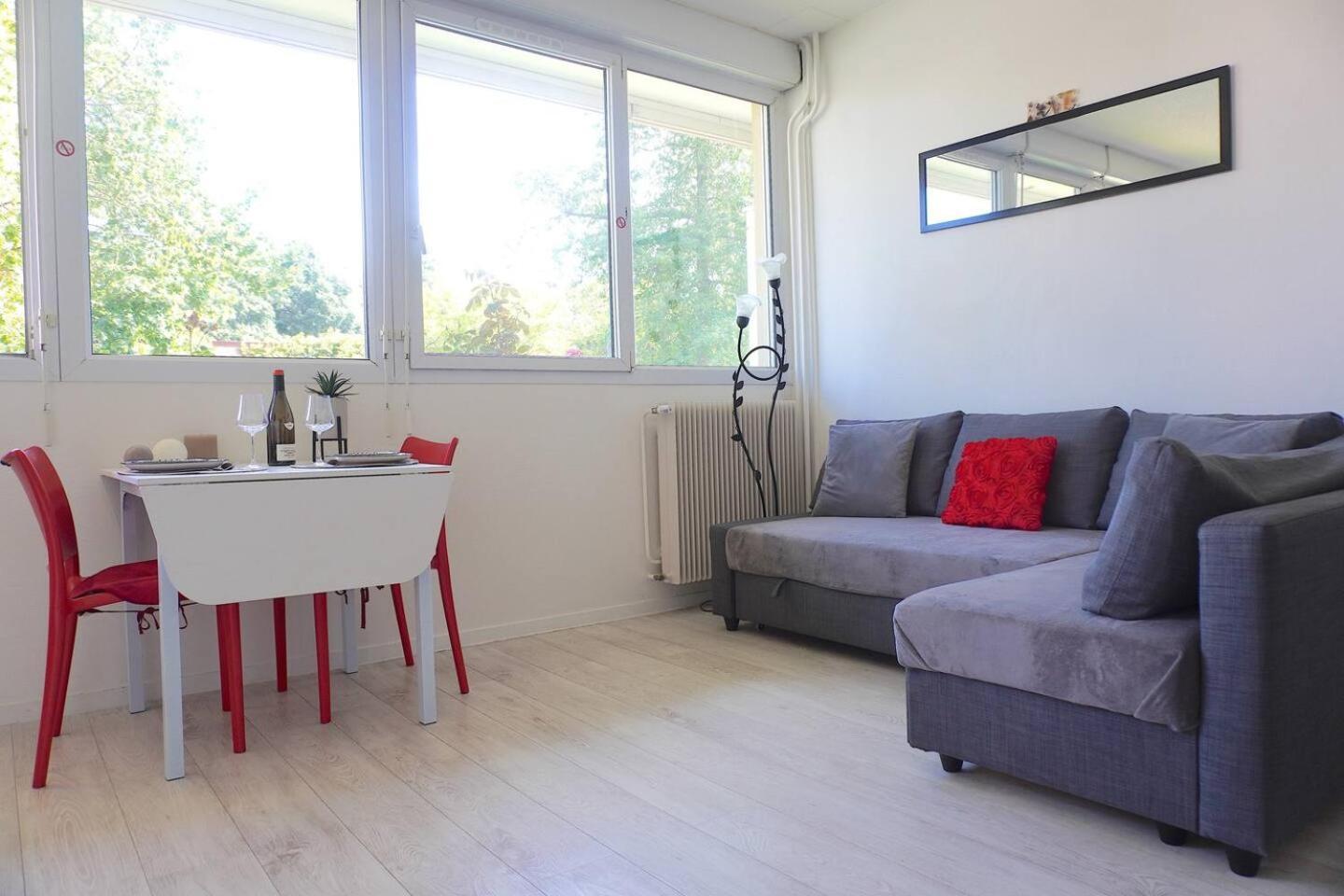 Appartement La Roseraie Parking Prive Mâcon Buitenkant foto