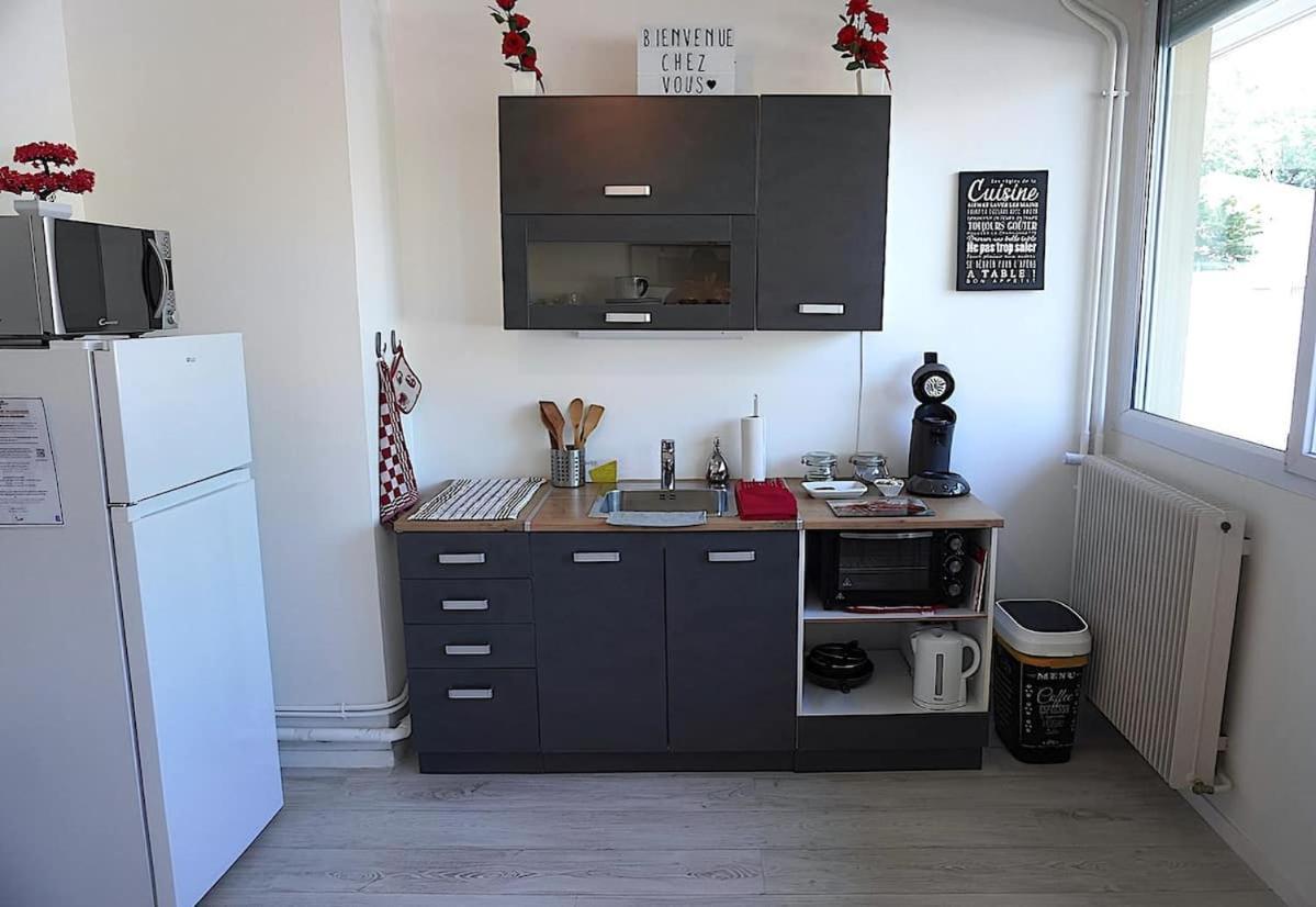 Appartement La Roseraie Parking Prive Mâcon Buitenkant foto